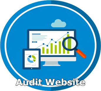Audit Website
